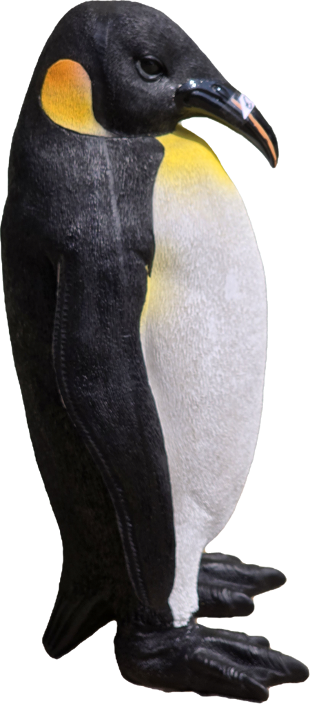 80 cm Königspinguin
