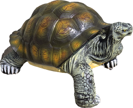 Grosse Schildkröte