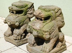 Tempellöwen
