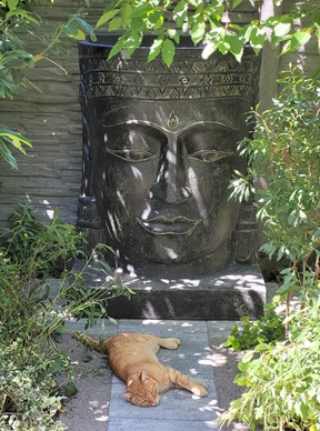 Asiabrunnen mit Katze